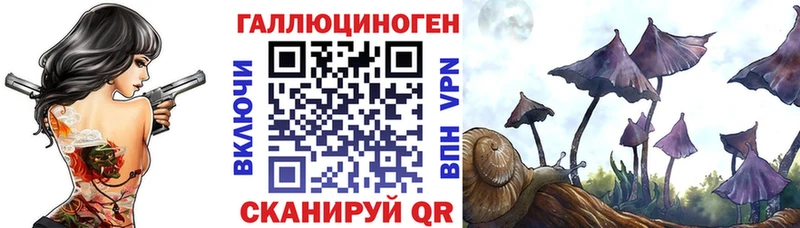 Псилоцибиновые грибы GOLDEN TEACHER mega как войти Теберда